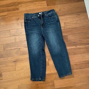 Time and Tru Denim Capris 10